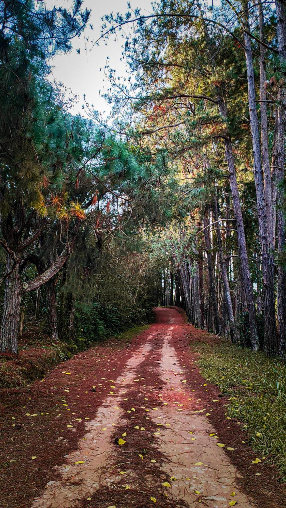 Pousada Colar De Ouro Chales Cunha Exterior foto